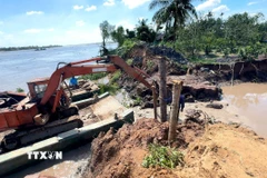 Sử dụng phương tiện cơ giới gia cố đoạn đê bao. (Ảnh: Lê Thúy Hằng/TTXVN) 