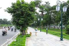 (Ảnh minh họa: Lê Đông/TTXVN)