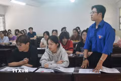 Ảnh minh họa. (Ảnh: Nguyên Dung/TTXVN)