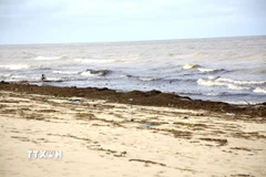 Bãi biển Nhật Lệ. (Ảnh: Thanh Thuỷ/TTXVN)