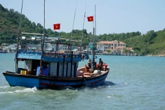 Ảnh minh họa. (Ảnh: Đình Quân/TTXVN)
