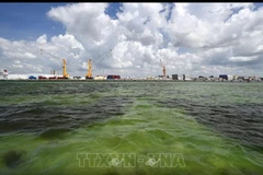 Một hồ chứa nước thải ở Mỹ. (Nguồn: TTXVN)