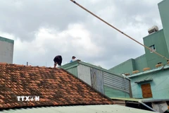 Người dân chủ động chèn, chắn mái nhà để ứng phó với bão số 15. (Ảnh: Quang Thái/TTXVN)