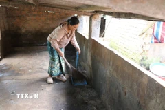 Đợt dịch vừa qua, gia đình chị Niê Ayua Nga, xã Ea Phê, tỉnh Đắk Lắk có 40 con lợn nuôi được khoảng 3,5 tháng bị chết do dịch tả lợn châu Phi. (Ảnh: Nguyên Dung/TTXVN)