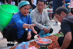 Khám phá nét văn hóa đặc sắc của Chợ phiên Bắc Hà giữa vùng cao Tây Bắc