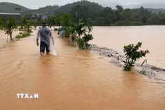 Mưa lớn gây ngập lụt tại một số địa phương ở tỉnh Lào Cai