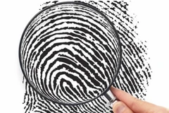 Lá dứa phế thải trở thành giải pháp xử lý ô nhiễm và điều tra vân tay. (Ảnh: Internet)