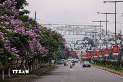 Hai thành phố Cao Lãnh và Hòa Bình được công nhận là đô thị loại II