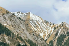 Mãn nhãn lễ hội khinh khí cầu ở Thụy Sĩ