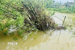 Sạt lở ăn sâu vào đất của người dân từ 5-7m tại Hà Tĩnh. (Ảnh: Hoàng Ngà/TTXVN)