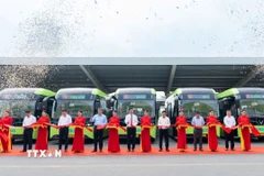 Ảnh minh họa. (Ảnh: TTXVN phát)