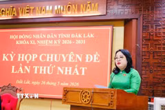 Đồng chí Cao Thị Hòa An, Uỷ viên Ban chấp hành Trung ương Đảng, Phó Bí thư Tỉnh ủy, Chủ tịch Hội đồng Nhân dân tỉnh Đắk Lắk phát biểu tại kỳ họp. (Ảnh: Ngọc Minh/TTXVN)