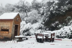 Tuyết rơi dày tạo nên cảnh đẹp như tranh vẽ. (Ảnh: Mạnh Hùng/TTXVN)