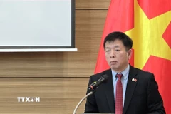 Đại sứ Vũ Hồ, Bí thư Đảng ủy tại Hàn Quốc, phát biểu chỉ đạo tại Hội nghị. (Ảnh: Đức Thắng/TTXVN)