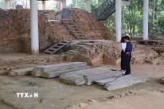 Đền tháp tại gò 1A rất đồ sộ, nơi có bệ thờ đặt bộ linh vật Linga-Yoni lớn nhất Đông Nam Á, vẫn bị vùi lầp dưới nền đất suốt nhiều thế kỷ, đến năm 1984 mới bắt đầu phát lộ. (Ảnh: Kha Phạm/TTXVN)