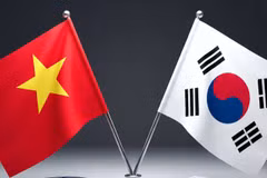 Ảnh minh họa. (Vietnam+)