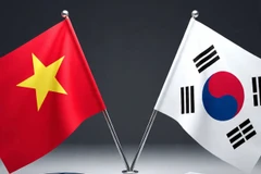 Ảnh minh họa. (Vietnam+)