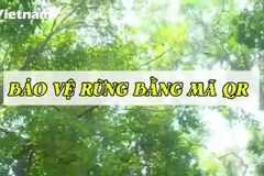 Mã QR được gắn trên cây di sản: Lan tỏa tình yêu và ý thức bảo vệ rừng