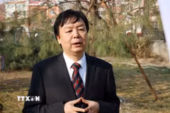 Giáo sư Mễ Lương, Giám đốc Trung tâm nghiên cứu Đông Nam Á, Đại học Ngoại ngữ Bắc Kinh (Trung Quốc). (Ảnh: Công Tuyên/TTXVN)