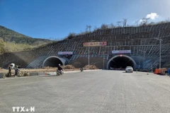 Ảnh minh họa. (Nguồn: TTXVN)