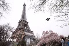 Tháp Eiffel tại thủ đô Paris, Pháp. Ảnh: THX/TTXVN