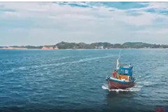 Hiệp ước toàn cầu bảo vệ biển cả có hiệu lực từ năm 2026