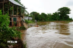 Điểm sạt lở bờ sông Tiền vào tối ngày 13/10/2025, tại ấp Tân Quới, xã Tân Long (tỉnh Đồng Tháp). (Ảnh: Nhựt An/TTXVN) 