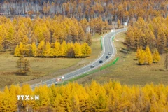 Chiêm ngưỡng cảnh đẹp mùa thu trên khắp thế giới