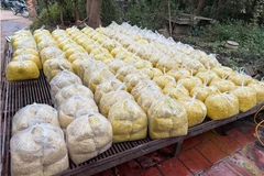 Bắc Ninh bắt tạm giam chủ cơ sở trộn chất cấm để chế biến riềng xay. (Nguồn: Bộ Công An)