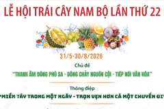 Nhiều hoạt động nổi bật tại Lễ hội Trái cây Nam Bộ lần thứ 22
