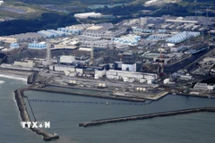 Nhà máy điện hạt nhân Fukushima Daiichi ở tỉnh Fukushima, Nhật Bản. (Ảnh: Kyodo/TTXVN)