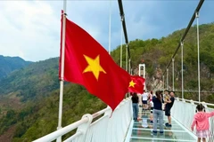Cầu kính dài nhất thế giới tại Mộc Châu hấp dẫn khách du lịch
