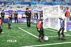 Cuộc thi Robot đá bóng diễn ra kịch tính. (Ảnh: Công Tuyên/TTXVN)