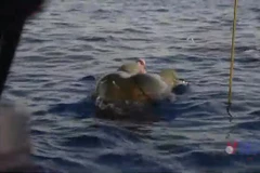 Nga: Kỷ lục thế giới mới về lặn tự do với độ sâu 126m