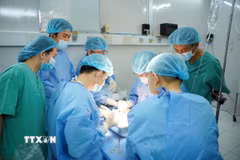 Các bác sỹ thực hiện lấy tạng của người hiến tại Bệnh viện Thống Nhất Thành phố Hồ Chí Minh. (Ảnh: TTXVN phát)