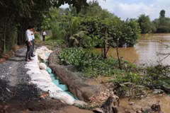 Đoạn sạt lở nghiêm trọng phía bờ Tây sông Cái Lân ở ấp 4, xã Tân Thanh, huyện Cái Bè, tỉnh Tiền Giang. (Ảnh: Minh Trí/TTXVN)