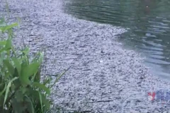 Lai Châu: Hồ lắng Thủy Sơn kêu cứu vì ô nhiễm trầm trọng