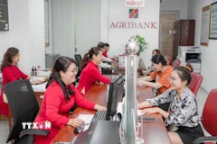 Khách hàng giao dịch tại Agribank Chi nhánh Bến Thành, Thành phố Hồ Chí Minh. (Ảnh: TTXVN phát)