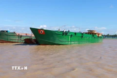 Ảnh minh họa. (Ảnh: Tuấn Phi/TTXVN)