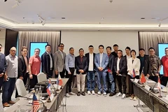 Các đại biểu tham dự Hội nghị thành lập Liên đoàn Thể thao Điện tử Đông Nam Á (Ảnh: VIRESA)