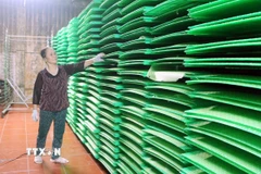 Hệ thống sấy khô công nghiệp bánh đa nem giúp cơ sở của anh Trần Ngọc Nghĩa ở thôn Trần Xá, xã Nam Xang chủ động trong khâu sản xuất, không bị gián đoạn bởi yếu tố thời tiết. (Ảnh: Nguyễn Chinh/TTXVN) 