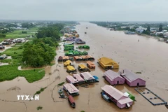 Làng bè ven sông Hậu. (Ảnh: Thanh Sang/TTXVN)