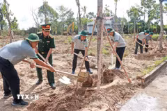 Ngay sau lễ phát động, lãnh đạo Quân khu 9, lãnh đạo tỉnh Cà Mau cùng đông đảo lực lượng đoàn viên, thanh niên, cán bộ, chiến sĩ và người dân đã đồng loạt ra quân tham gia trồng cây. (Ảnh: Huỳnh Anh/TTXVN)