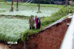 Đoàn công tác của Phó Chủ tịch tỉnh Sơn La Nguyễn Thành Công đi kiểm tra, nắm tình hình thiệt hại do bão. (Ảnh: TTXVN phát)