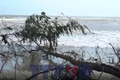 Sạt lở có thể “nuốt chửng” bãi biển Mỹ Khê