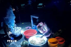 “Chợ ma” độc đáo ở vùng biên giới An Giang