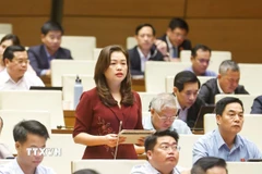 Đại biểu Quốc hội tỉnh Cao Bằng Đoàn Thị Lê An phát biểu. (Ảnh: Doãn Tấn/TTXVN)