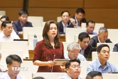 Đại biểu Quốc hội tỉnh Cao Bằng Đoàn Thị Lê An phát biểu. (Ảnh: Doãn Tấn/TTXVN)