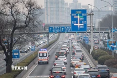 Đây là làn sóng tái cấu trúc giáo dục đại học lớn thứ 3 ở Trung Quốc kể từ khi nước này được thành lập năm 1949, gắn liền với chương trình nghị sự kinh tế của đất nước. (Ảnh: THX/TTXVN) 