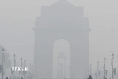 Không khí ô nhiễm nghiêm trọng tại New Delhi, Ấn Độ ngày 17/12/2025. (Ảnh: ANI/TTXVN) 